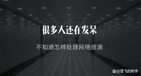 如何进行网络资源的获取、处理及应用_ 如何进行网络资源的获取、处理及应用_